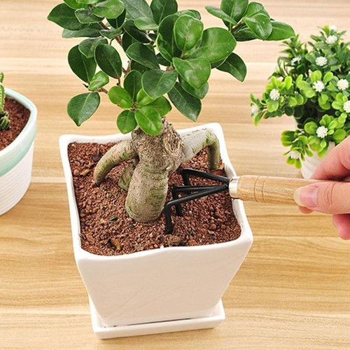 Kit Jardinagem Garfo Pazinha Larga Transplantador 3pç